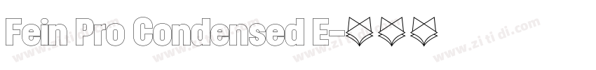 Fein Pro Condensed E字体转换
